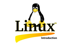 1 Embedded Linuxs